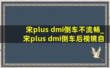 宋plus dmi倒车不流畅_宋plus dmi倒车后视镜自动下翻功能